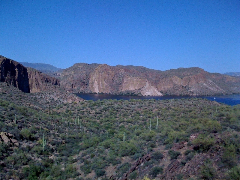 Pictures from iPhone 017.jpg